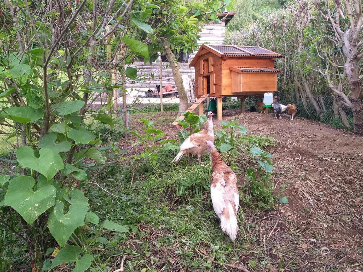 Quinta Da Pavoa - Cottage House Вила-Франка-ду-Кампу Экстерьер фото
