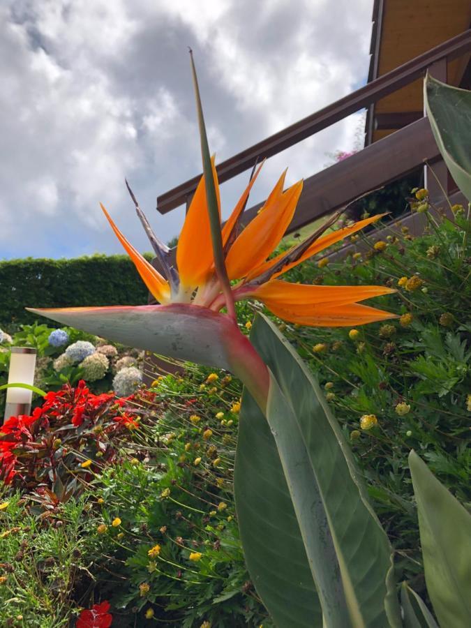 Quinta Da Pavoa - Cottage House Вила-Франка-ду-Кампу Экстерьер фото