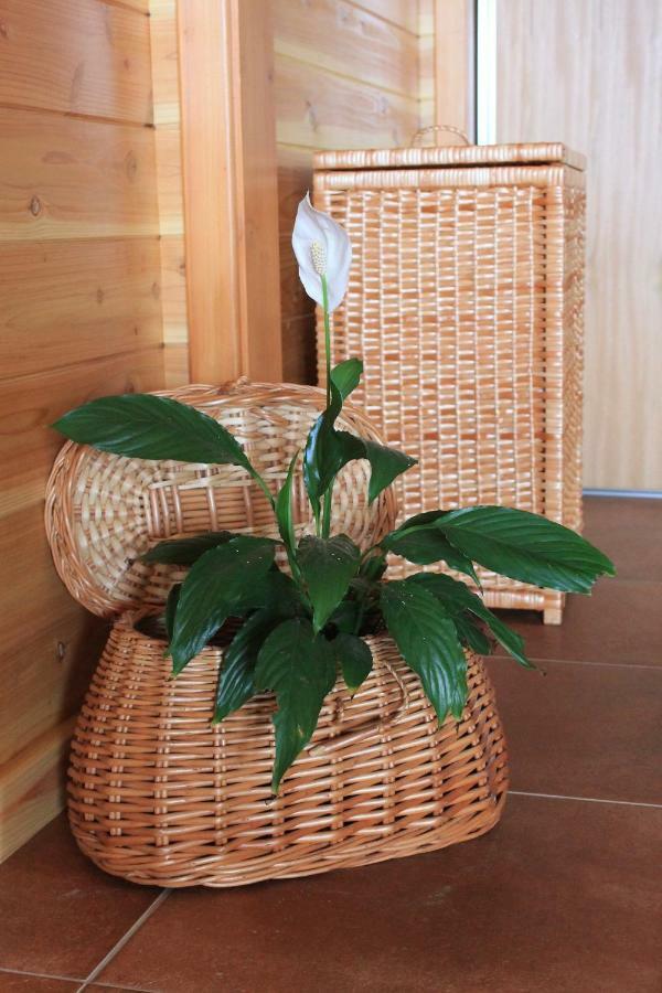 Quinta Da Pavoa - Cottage House Вила-Франка-ду-Кампу Экстерьер фото
