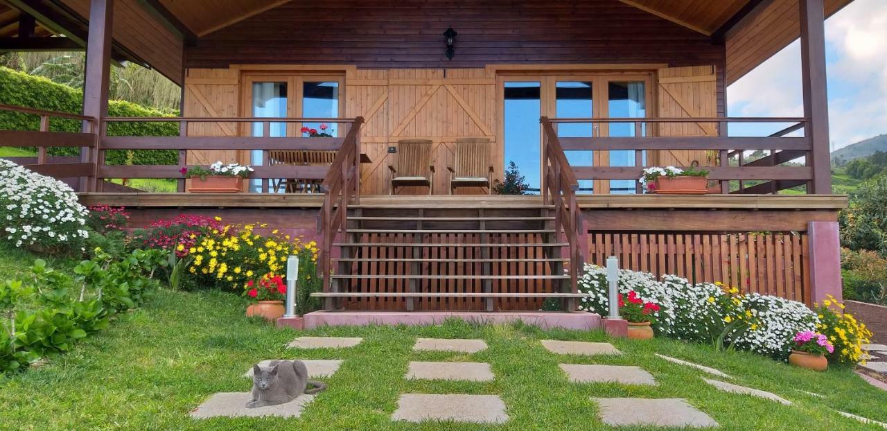 Quinta Da Pavoa - Cottage House Вила-Франка-ду-Кампу Экстерьер фото