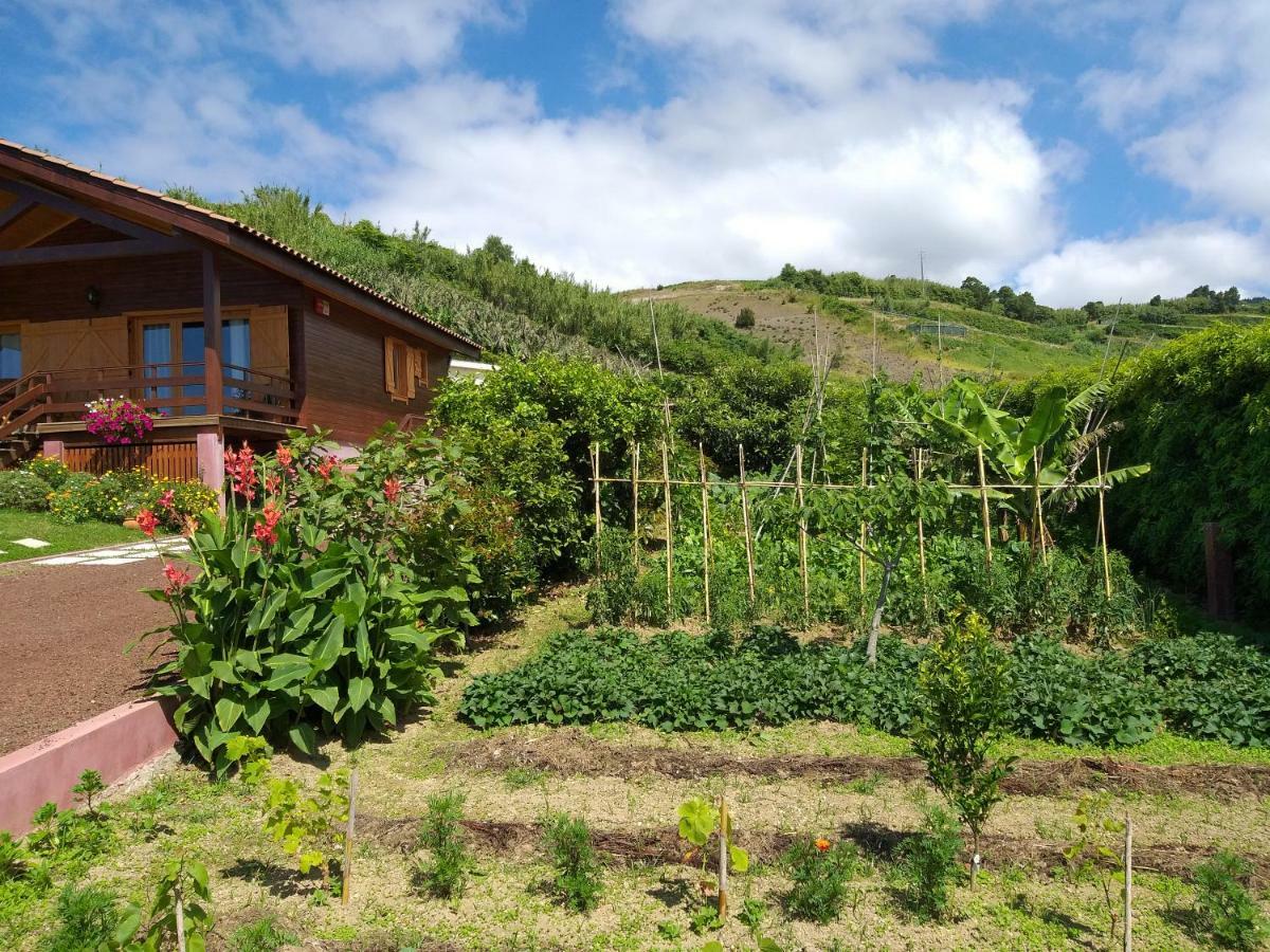 Quinta Da Pavoa - Cottage House Вила-Франка-ду-Кампу Экстерьер фото
